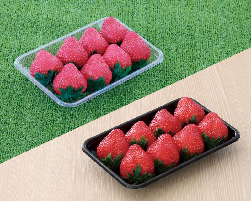リブの少ないシンプルなイチゴの平詰め容器【ミネロン イチゴMH-250RN】