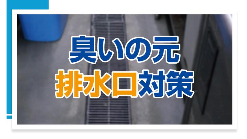 【スッキリ!】排水口の臭い解消!「パイプクリーナーL」