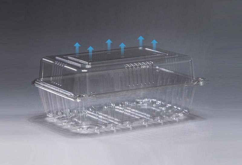 通気性UP!【フルーツ1000】に6Hが登場!