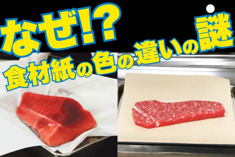 なぜ！？　食材紙の色の違いの謎
