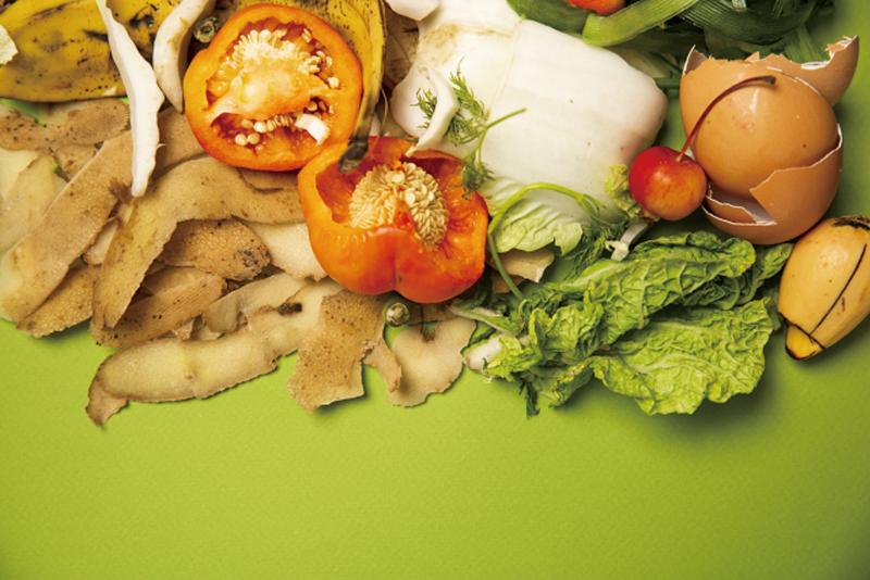 これを読めば意識が変わる！【食品ロス削減】取り組みへの第一歩！