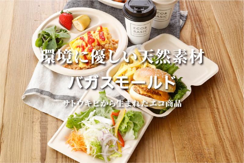 バガスモールド