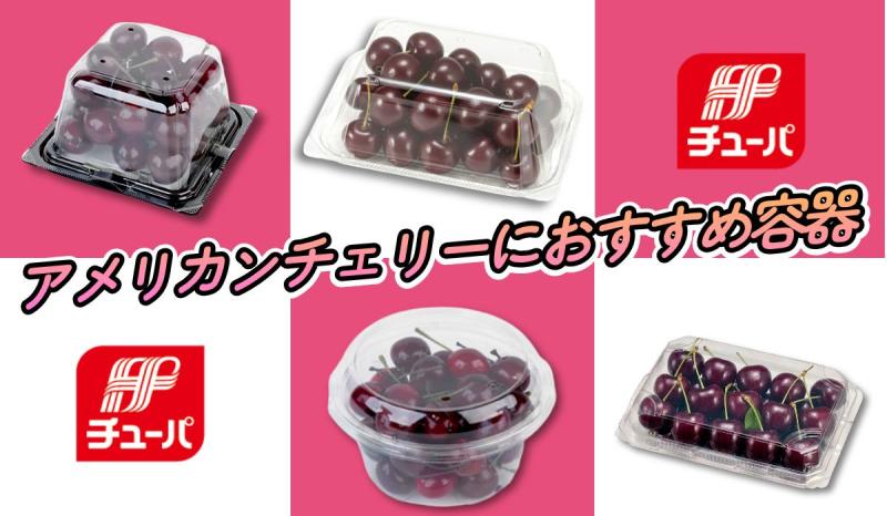 アメリカンチェリーのシーズンに向けて準備！【おすすめ容器４選】