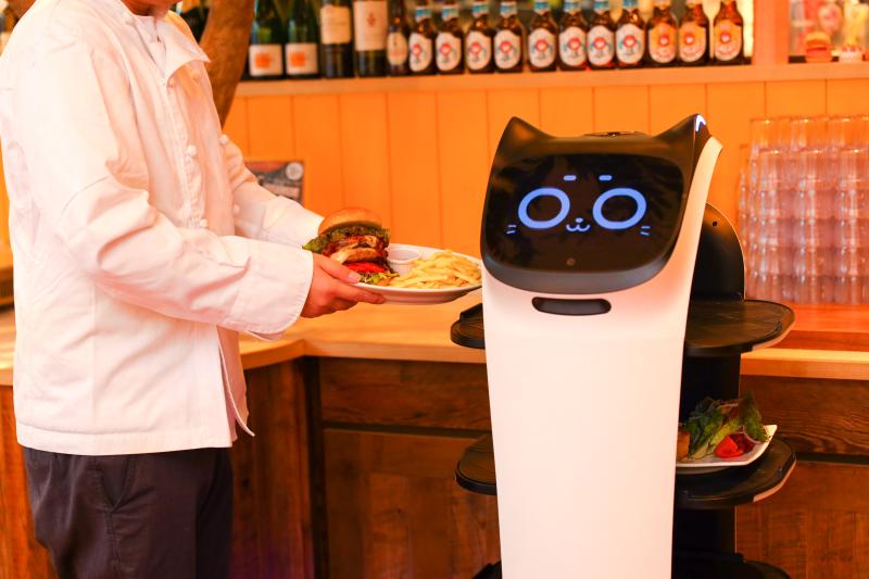 株式会社DFA Roboticsのサブ写真４